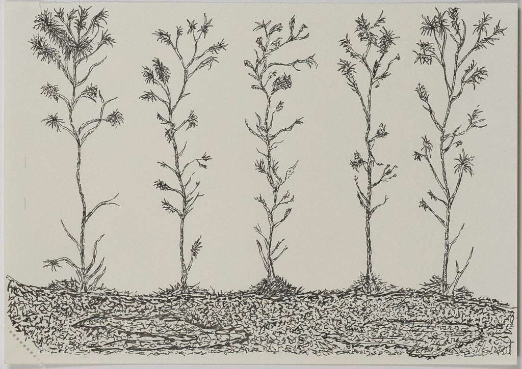 Andrew Muns (1994-) - Life in a Barren Land - Original Ink