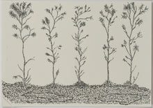 Load image into Gallery viewer, Andrew Muns (1994-) - Life in a Barren Land - Original Ink