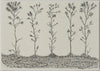 Andrew Muns (1994-) - Life in a Barren Land - Original Ink