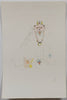 Leonor Fini (1907-1996) -  Les chats de Madame Helvetius -  Crowned Cat with Necklace - Original Etching (LF) - 1985