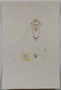 Leonor Fini (1907-1996) -  Les chats de Madame Helvetius -  Crowned Cat with Necklace - Original Etching (LF) - 1985