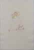 Leonor Fini (1907-1996) - Les chats de Madame Helvitius - Flower Cat - Original Etching 57/150 - 1985